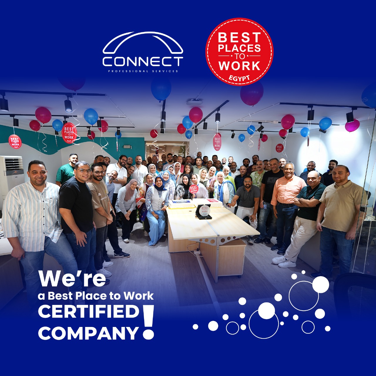 Connect Professional Services