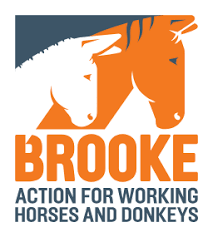 Brooke Hospital for Animals